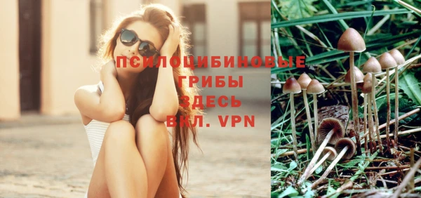 ALPHA PVP Володарск